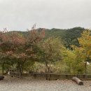 [경북/청도] 경북 청도 아이고캠핑장 I GO 캠핑장 정보 및 추천 연못 4사이트