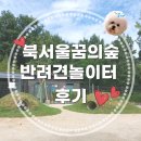 도봉-도봉-서울도봉-2124 | 북서울꿈의숲 반려견놀이터 후기, 위치 주차 이용방법 알려드려요
