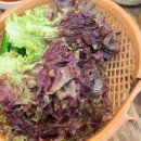 봉화골 화로구이 Daum카페