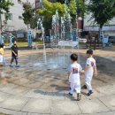 중앙 태권도 체육관 이미지