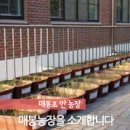 매봉농장 이미지