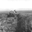 관음사 가는길 이미지