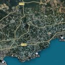 위미초등학교 ↔ 동백군락지 이미지