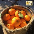 내천농장 이미지