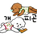슈슈댕 이미지