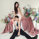 보보스튜디오