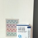 장건강 비피더스유산균 유디 장건강 100억 유산균