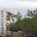 용호사거리(주공2단지 앞) 이미지