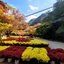 강천산군립공원(현수교) 이미지