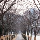 한양대학교에리카캠퍼스 이미지