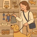 베일리펫케어 이미지