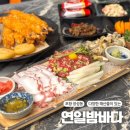 알파 포항연일점 | 포항 장성동 술집 신선한 해산물이 있는 연일밤바다