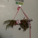 연일제일가정의원 이미지