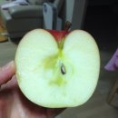 환희농장 이미지