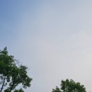 문씨교자본점 이미지