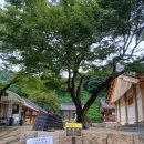 활터약수터 | [안성 칠현산 칠장사 29] 어사 박문수 장원급제, 합격기도 명소!! 25. 7. 19(토)