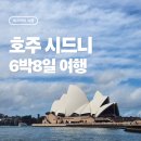 엠에스디스트리파크(주) | 호주 6박 8일 여행일정(9/20~9/28), 몸살과 함께한 시드니 찍먹 여행 후기