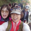 힐링산행과 문화탐방 이미지