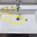 공원로-1 이미지