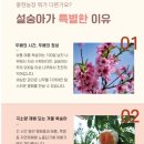 홍현농장 이미지