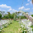 에움 456 이미지