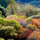 비밀의정원 - 강동구 천호대로170길 34 | 비밀의정원