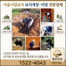 서울시립묘지-용미리1묘지 묘지개장-300구역-벌초~화장장 동행까지 원스톱묘지개장 이미지