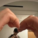 스테이오캄 이미지