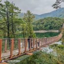 덕풍제2공영주차장1F | 마장호수 출렁다리 가을 뷰 / 파주, 양주 공영 주차장 정보 / 근처맛집, 카페 요약