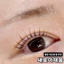 새로이 | 속눈썹펌 추천 동탄눈썹 새로이채움 후기