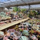 당거리농장 이미지