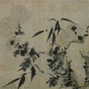 국화 4