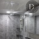 황골쌍용 이미지