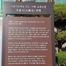 황톳길과 단풍나무숲길 산책 이미지