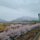 화수공원 이미지