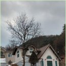 호천식당 이미지