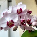 (주)더 아름다운 사람 이미지