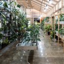 예삐마켓 이미지