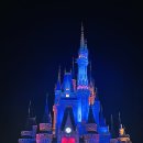 주식회사 펫드림월드 | 일본 도쿄 디즈니랜드 디즈니씨 입장권 할인 해피엔트리 DPA 패스 정리 예상 혼잡도 꿀팁