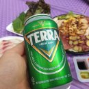 코오롱애견 이미지