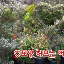 극복 농장 이미지