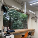 성공시대 | [압구정 미용실] 컷 맛집! +매직 성공시대 후기☘ 피움부티끄 전병우원장님