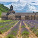 여기분식집이여 이미지