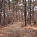 매봉약수터 이미지