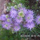 선산대로10-10 이미지