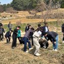 안정왕겨 이미지