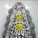 전북특별자치도 군산의료원 이미지