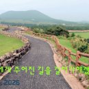 “나에게 주어진 길을 걸어가야겠다!“("I must walk the path given to me!") 이미지