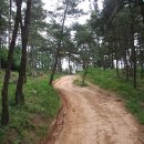 엄광산 동구경계 이미지