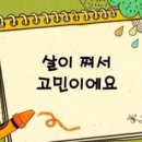 조아해낙지 이미지